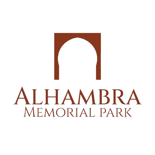 logo removebg preview